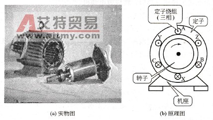 异步电动机的基本结构