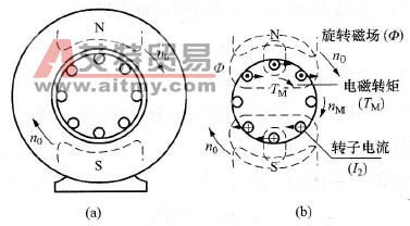 异步电动机的转子是怎样旋转起来的？