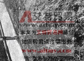 直埋电缆未设置可靠保护措施原因分析及防治措施