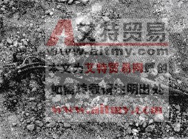 电缆敷设后损伤原因分析及防治措施